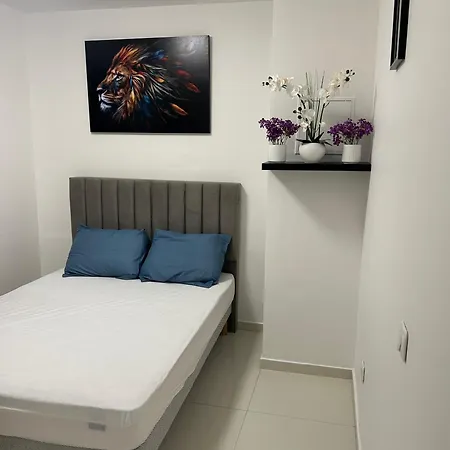 Deux Pieces Au Centre-ville Proche Des Plages Et Centres Commerciaux Apartment